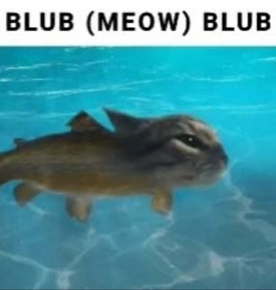 blub (meow) blub